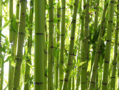 Stilfuldt og Miljørigtigt: Bambustøj som en Trend